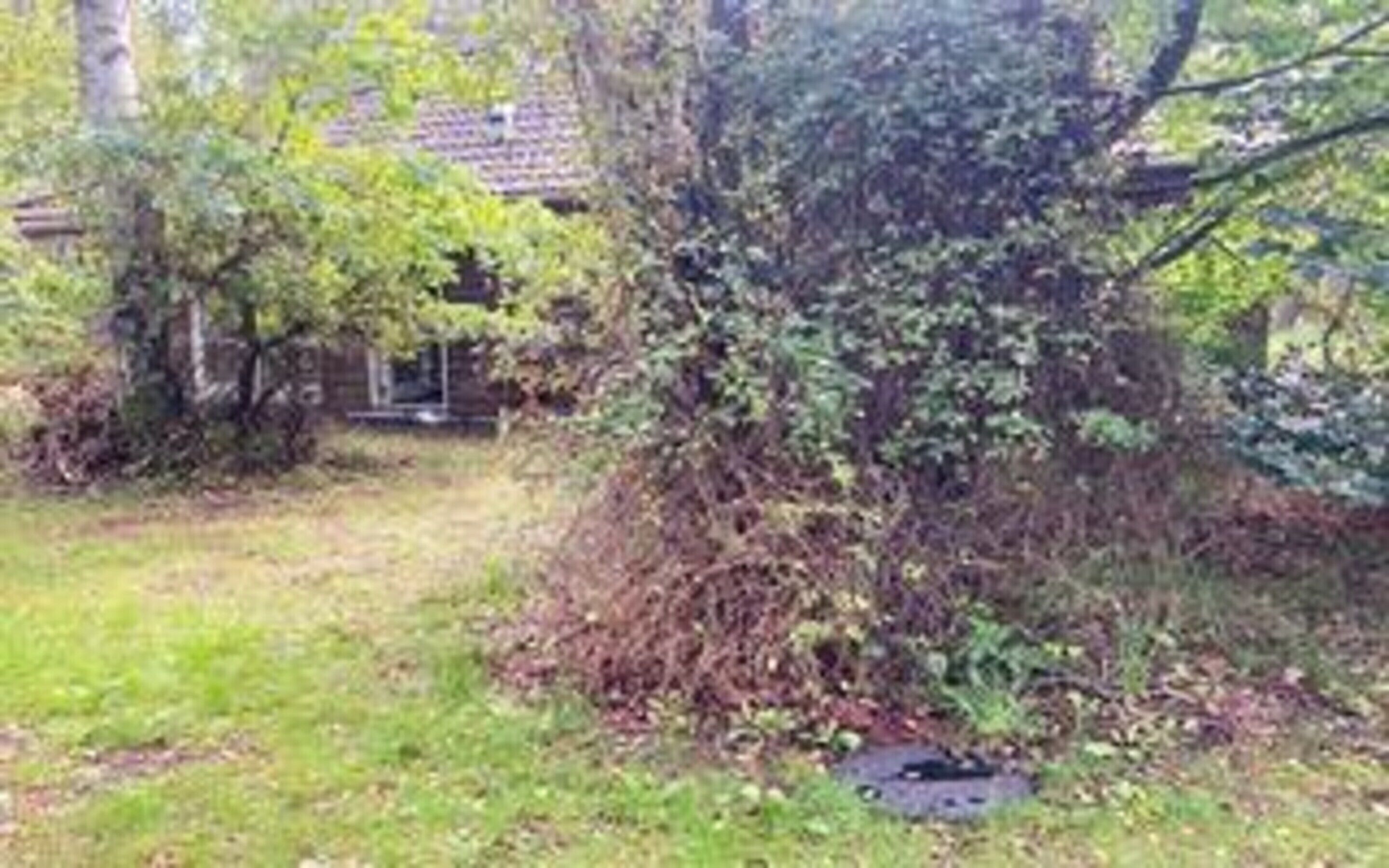 House | Property grounds