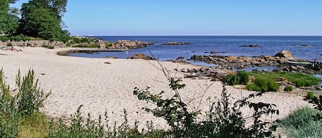 House | View from property