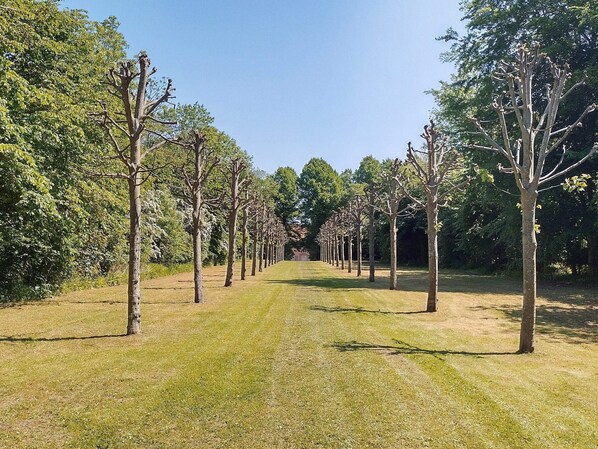 A pathway lined with trees in a park. - 4 Person Holiday Home in Skibby (Skibby)