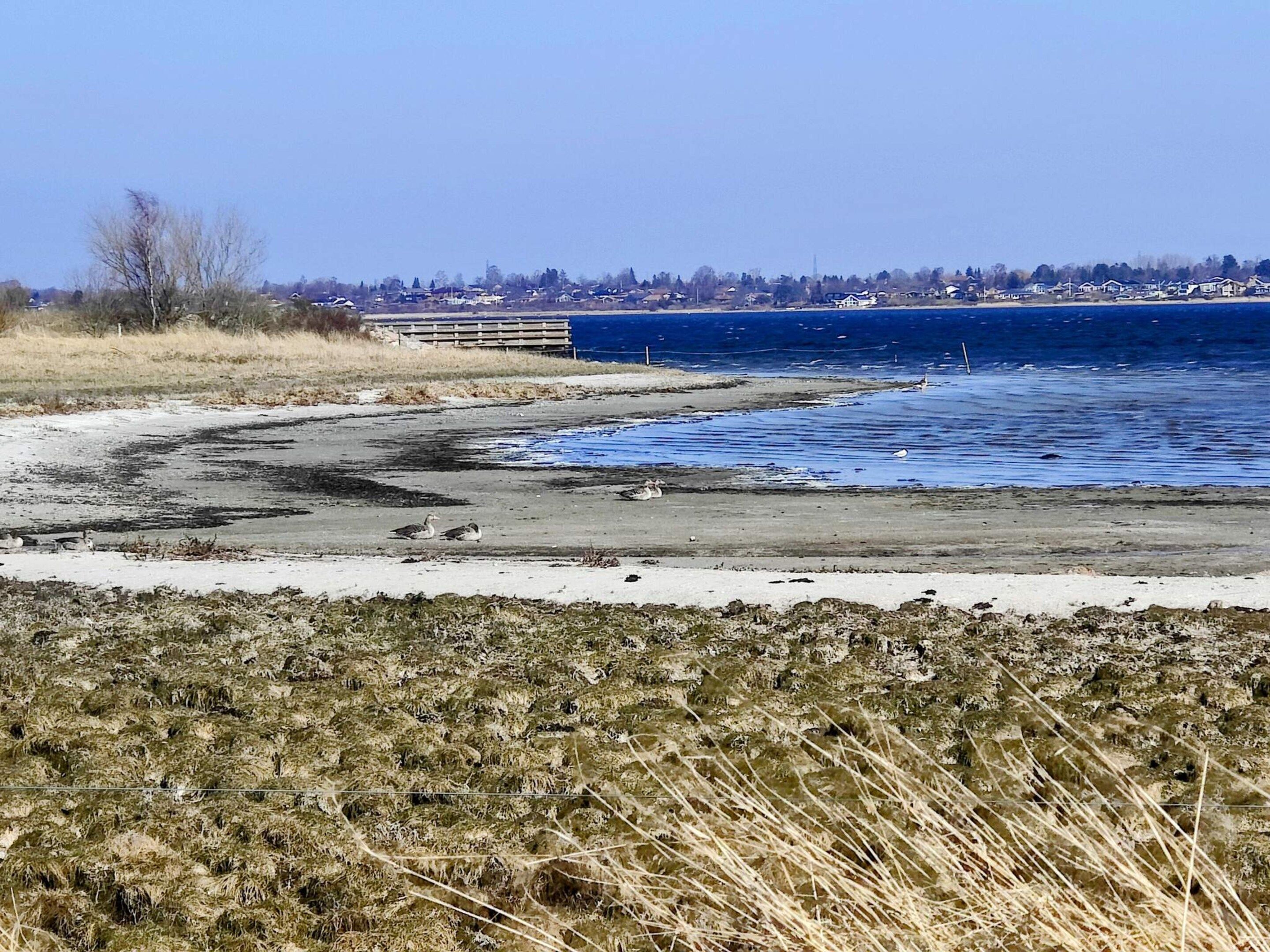 A coastal landscape with a sandy beach, a body of water, and a distant shoreline with buildings.