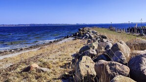 A coastal landscape with a rocky shoreline, a clear blue sky, and a distant view of a city skyline.