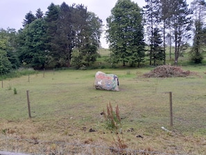 Property grounds - 4 Person Holiday Home in Skibby (Skibby)
