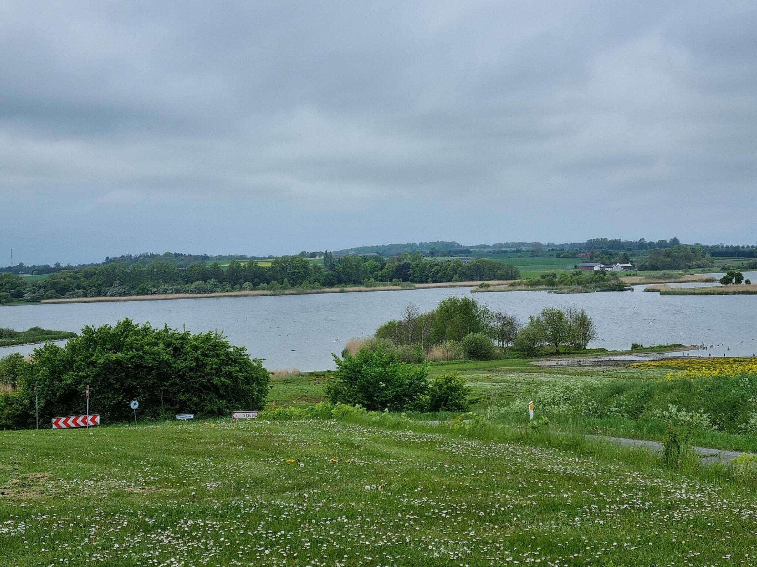 A lake surrounded by greenery, a road with a curve warning sign, and a distant building.