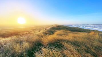 House | Beach