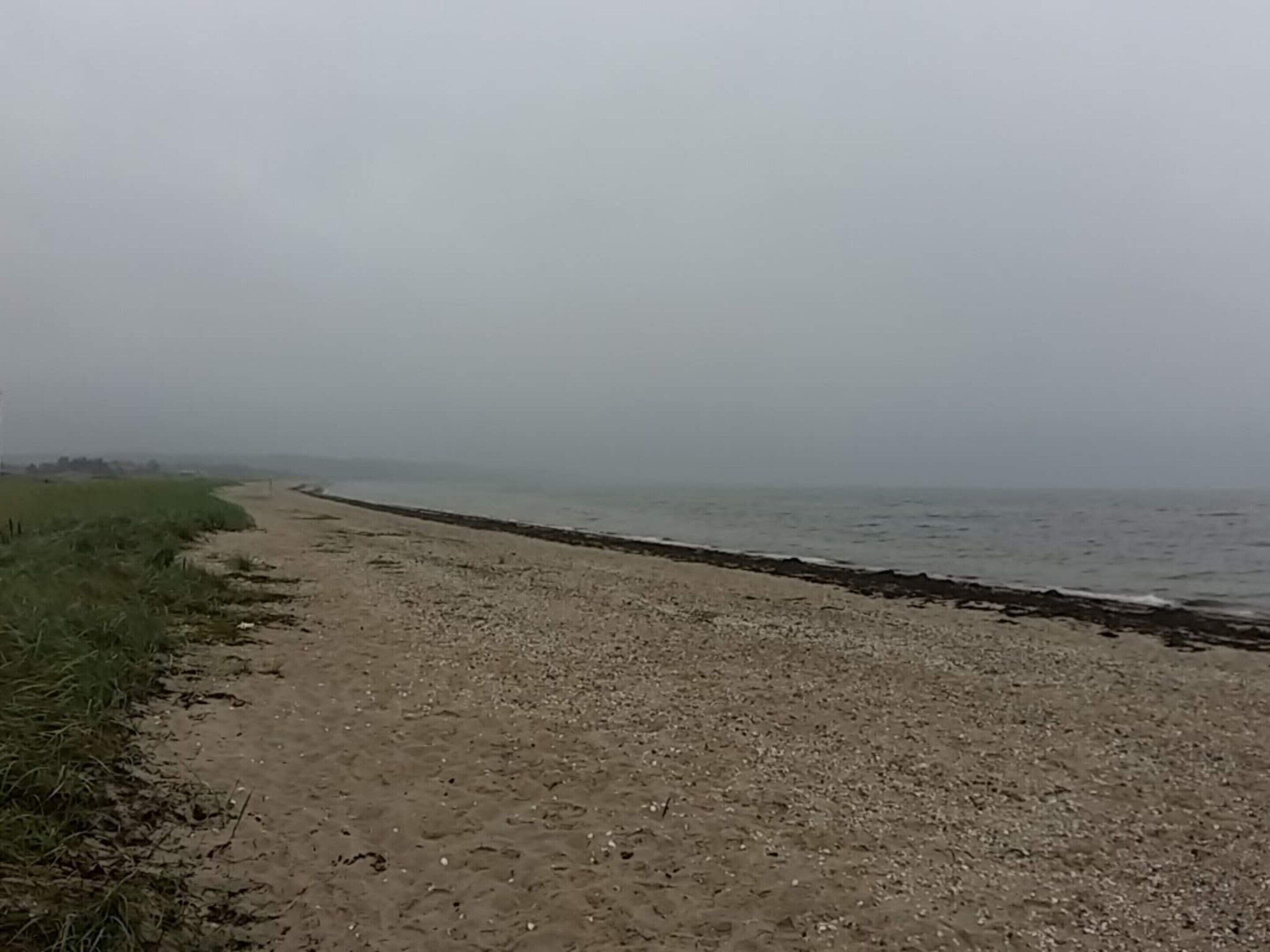 House | Beach | Beach nearby
