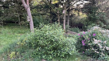 A natural outdoor area with trees, shrubs, and birdhouses.
