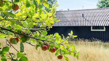 House | View from property