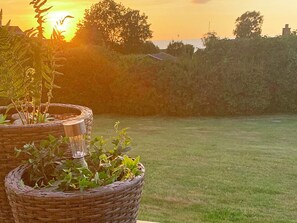 A garden with a grassy lawn and a sunset in the background.