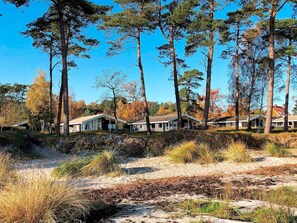 A row of cabins with a sandy path leading to them, surrounded by tall trees and autumn foliage. - 4 Star Holiday Home in Nexo (Nexø)