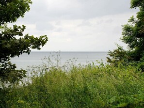 Ranta