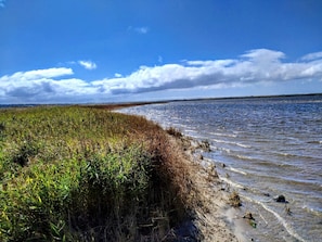 A coastal landscape with a clear sky, a body of water, and a grassy area. - 5 Star Holiday Home in Ulfborg (Ulfborg)