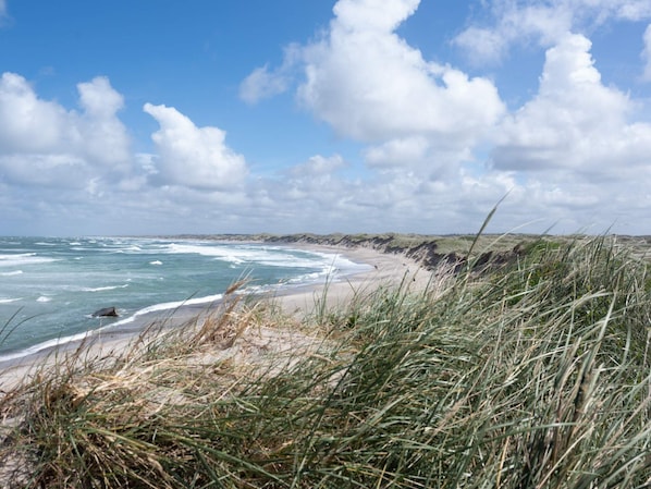 A coastal landscape with a sandy beach, grassy dunes, and a clear sky.