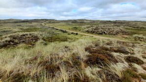 A natural landscape with a winding path through grassy terrain.