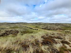 Un paisaje natural con un sendero serpenteante a través de terreno cubierto de pasto.