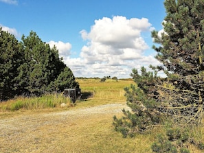 Un sendero de grava serpentea por un paisaje natural bordeado por densos árboles de coníferas.