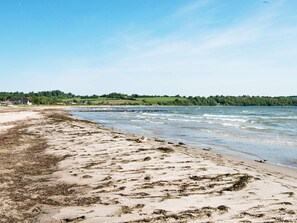 Uma praia com areal arenoso e algas marinhas, céu limpo e uma floresta ao longe.