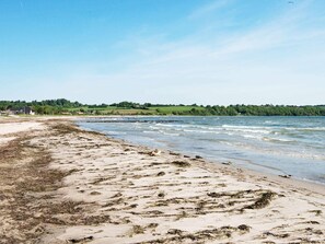 A beach with sand, seaweed, and a calm sea.