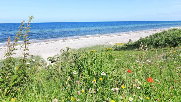 House | Beach - Luxury Holiday Home in Jutland near Sea (Allingåbro)