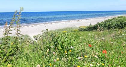 Luxury Holiday Home in Jutland near Sea