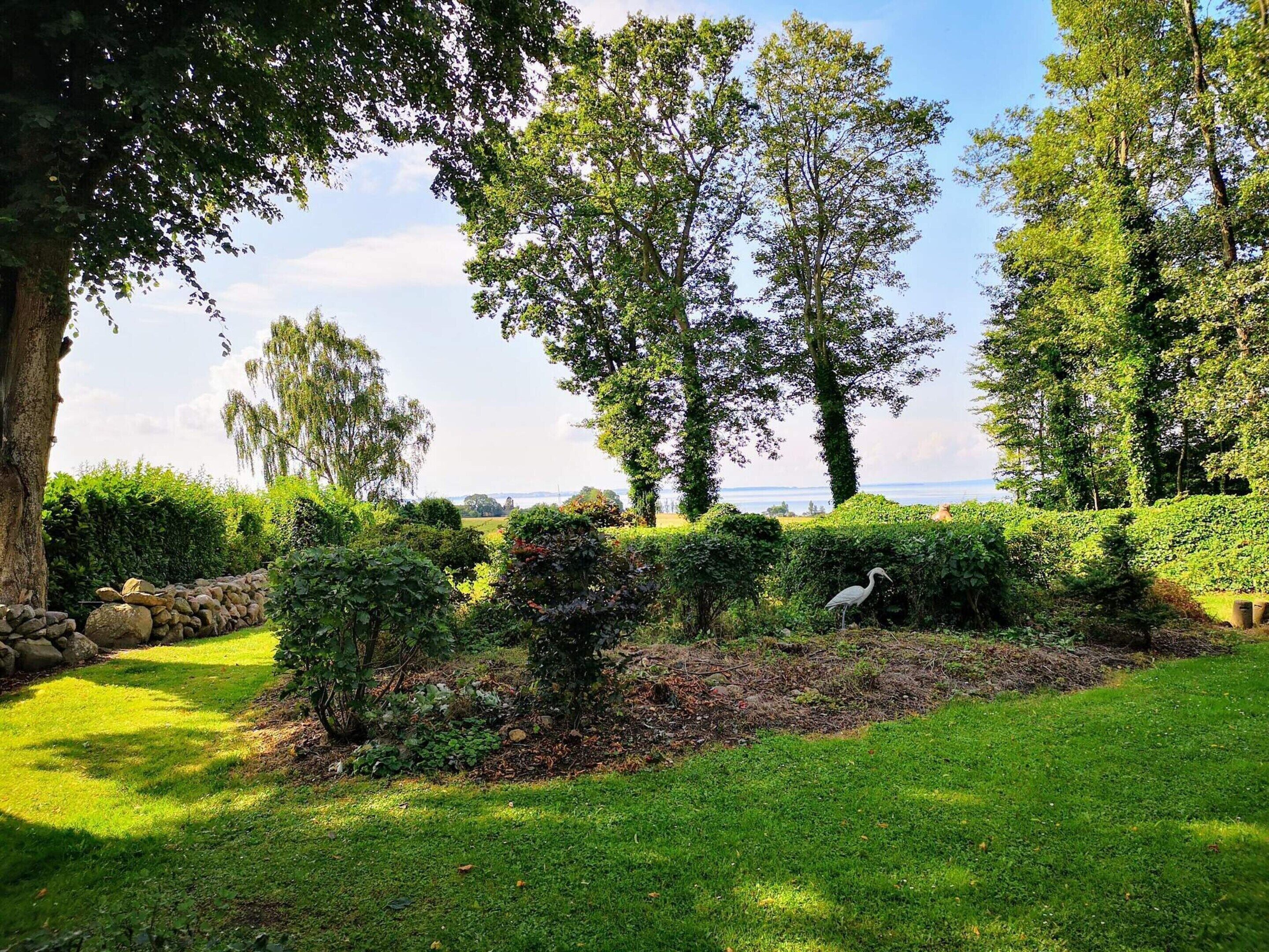 House | Property grounds