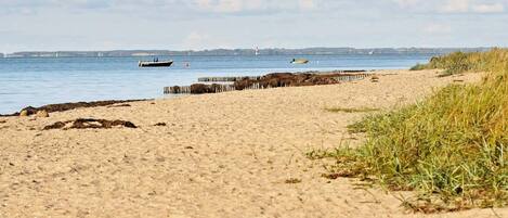 Ferienhaus | Blick von der Unterkunft