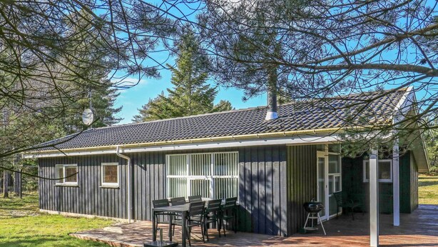 Exterior - 6 Person Holiday Home in Albaek (Aalbaek)