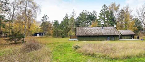A rustic cabin with a green exterior, a tiled roof, and a small adjacent shed.
