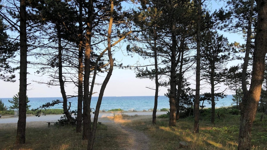 14 Person Holiday Home in Ebeltoft-by Traum