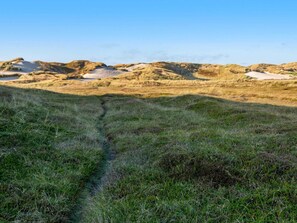 Ferienhaus | Blick von der Unterkunft