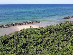 A beach with a rocky breakwater, clear blue water, and dense green foliage in the foreground. - 5 Star Holiday Home in Vejby (Vejby)