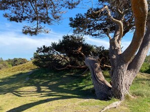 Casa | Imagen general