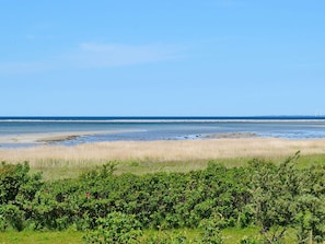 Vista da propriedade