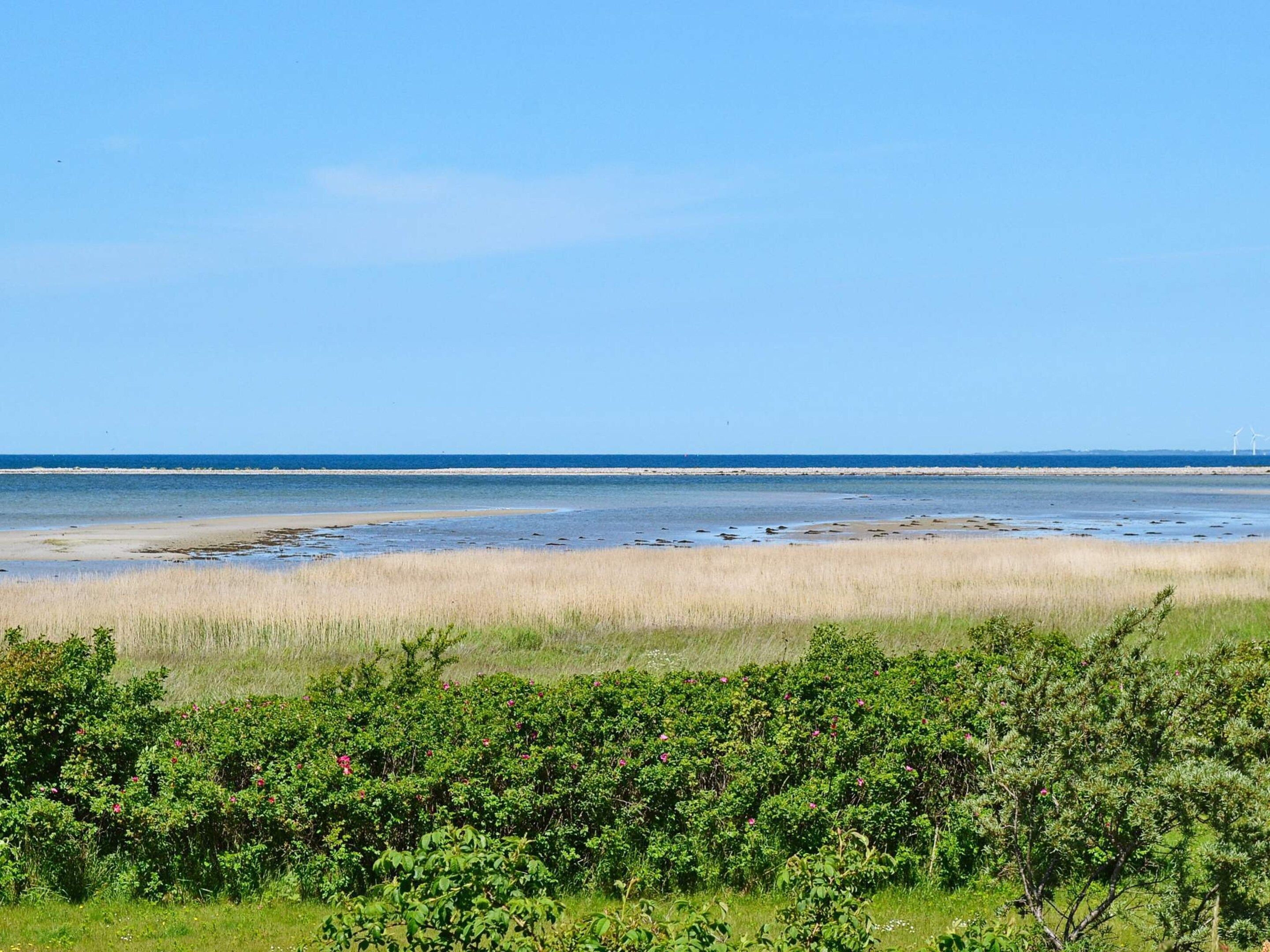 A coastal landscape with a beach, grassy dunes, and a clear sky.