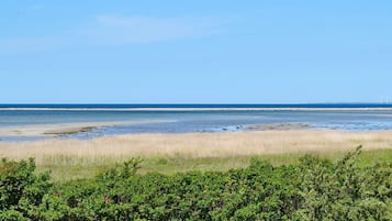 A coastal landscape with a beach, grassy dunes, and a clear sky.