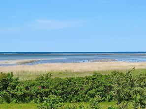 A coastal landscape with a beach, grassy dunes, and a clear sky. - 4 Person Holiday Home in Martofte-by Traum (Martofte)