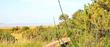 Un banco de madera en un área con césped y vista al mar.