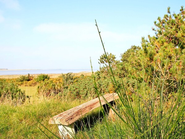 A wooden bench in a grassy area with a view of the sea in the background. - 4 Person Holiday Home in Martofte-by Traum (Martofte)