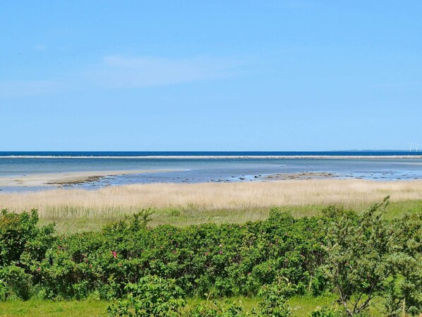 House | View from property