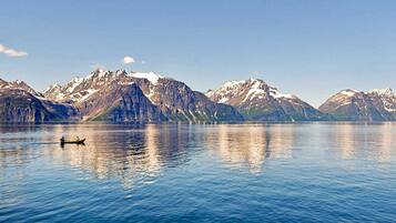 House | Lake