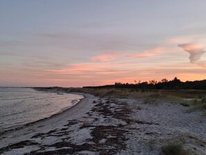 A beach with a curved shoreline, seaweed-covered sand, and a forested background under a sunset sky. - 5 Star Holiday Home in Hals (Hals)