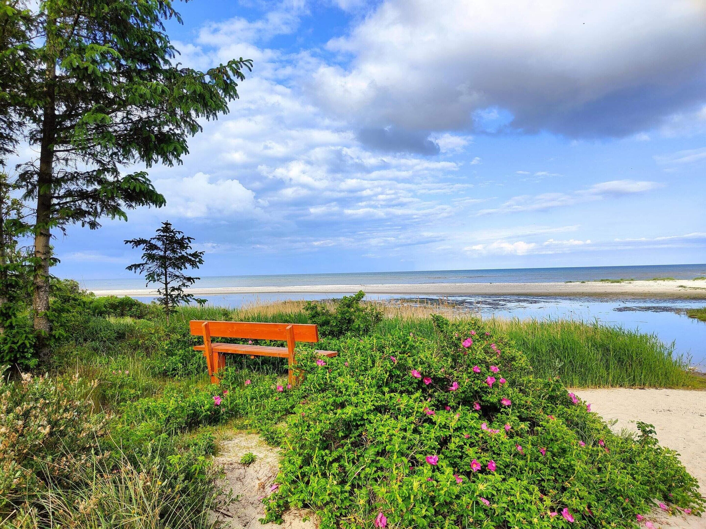 独立别墅 | 海滩