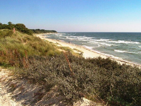 Hus | Udsigt fra overnatningsstedet