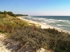A beach with a sandy path leading to the water, surrounded by dense shrubbery. - 6 Person Holiday Home in Aakirkeby (Akirkeby)