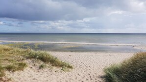 Ein Strand mit sandigem Ufer und grasbewachsenen Dünen.