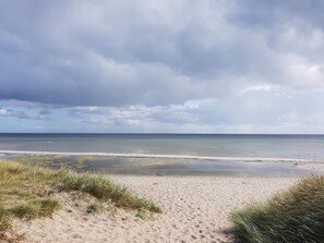 A beach with a sandy shore and grassy dunes. - 4 Star Holiday Home in Hals (Hals)