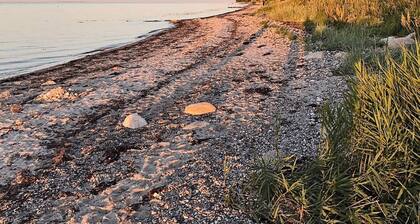 Appealing Holiday Home in Nordborg near Sea