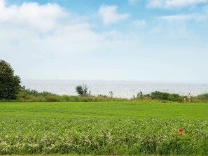 إطلالة على المياه