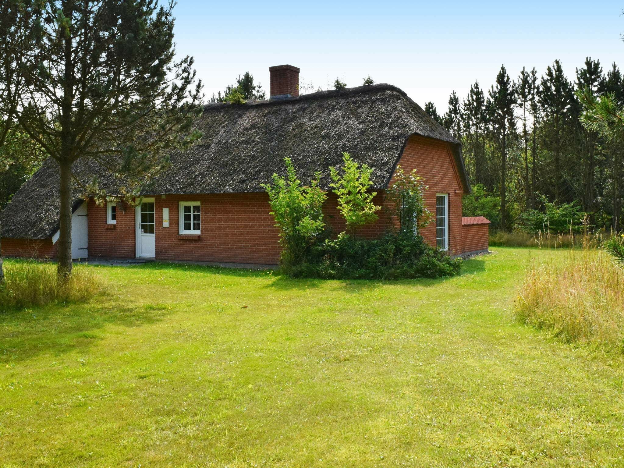 Udendørsområde