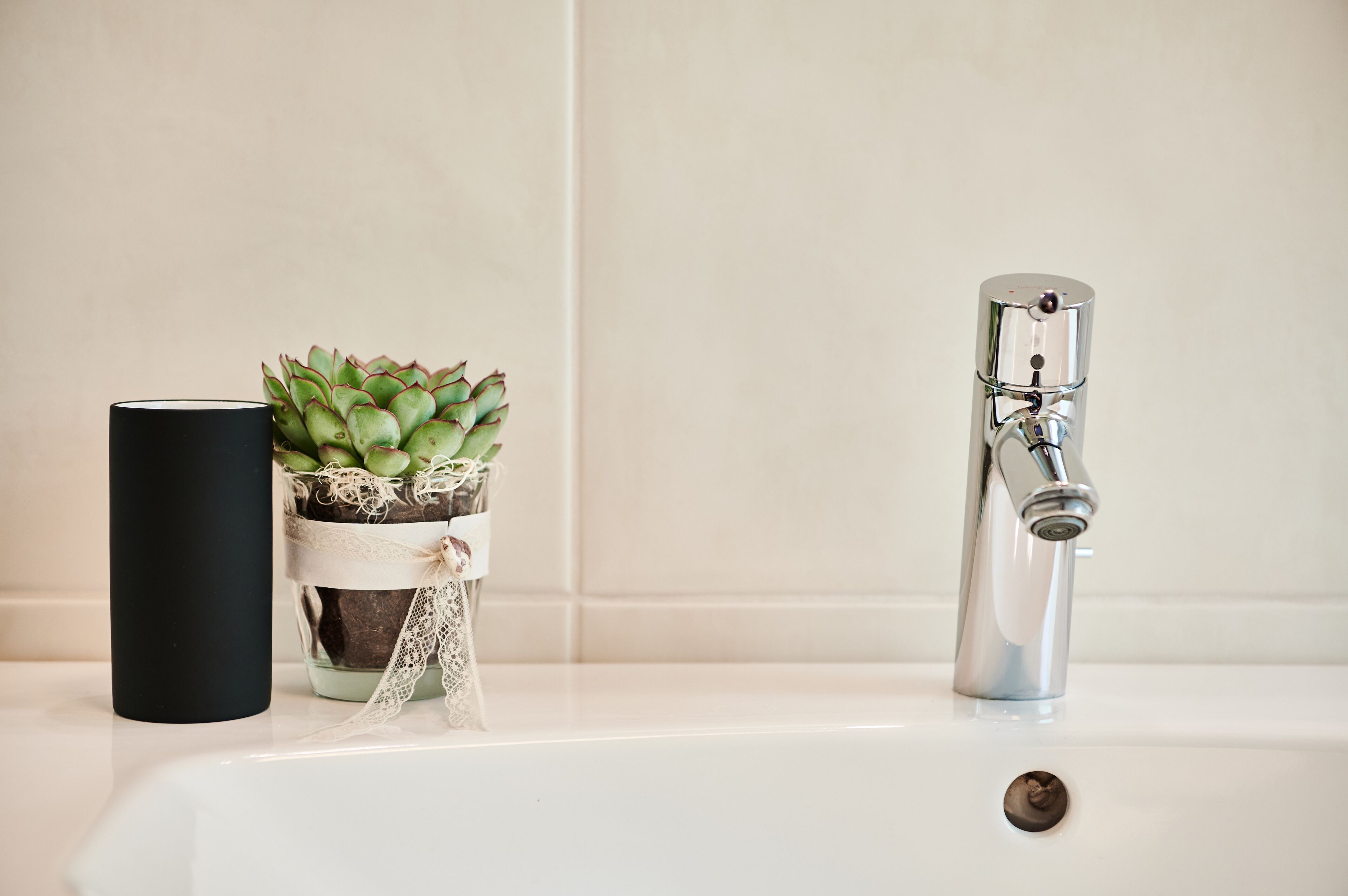 A bathroom sink with a potted succulent and a black cylindrical object beside it.