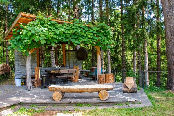 Arbre, Réserve Naturelle, Botanique, Table, Maison, Des Bois, Plante, Forêt, Pavillon, Pièce